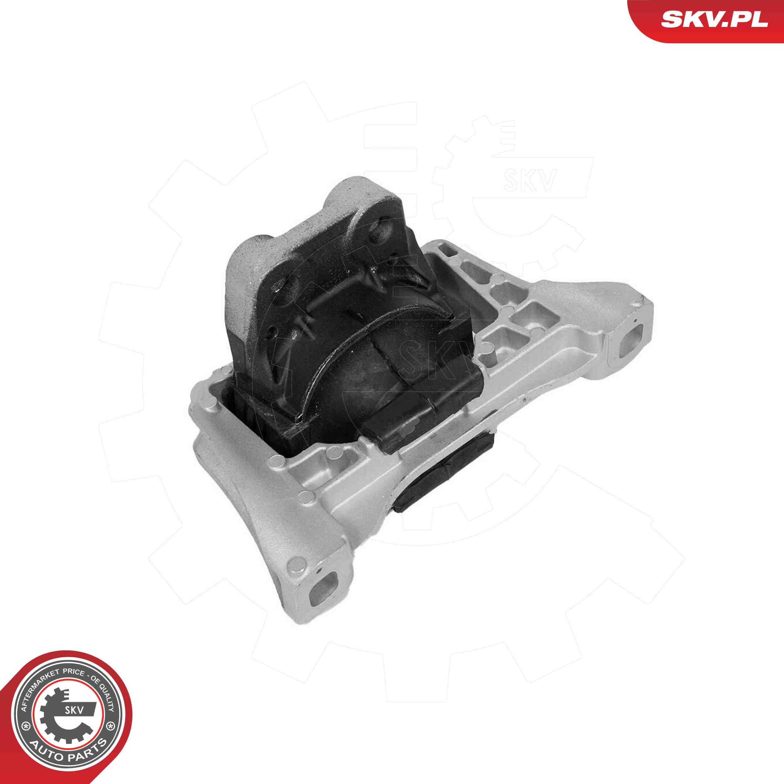 ESEN SKV 75SKV258 Mounting, engine