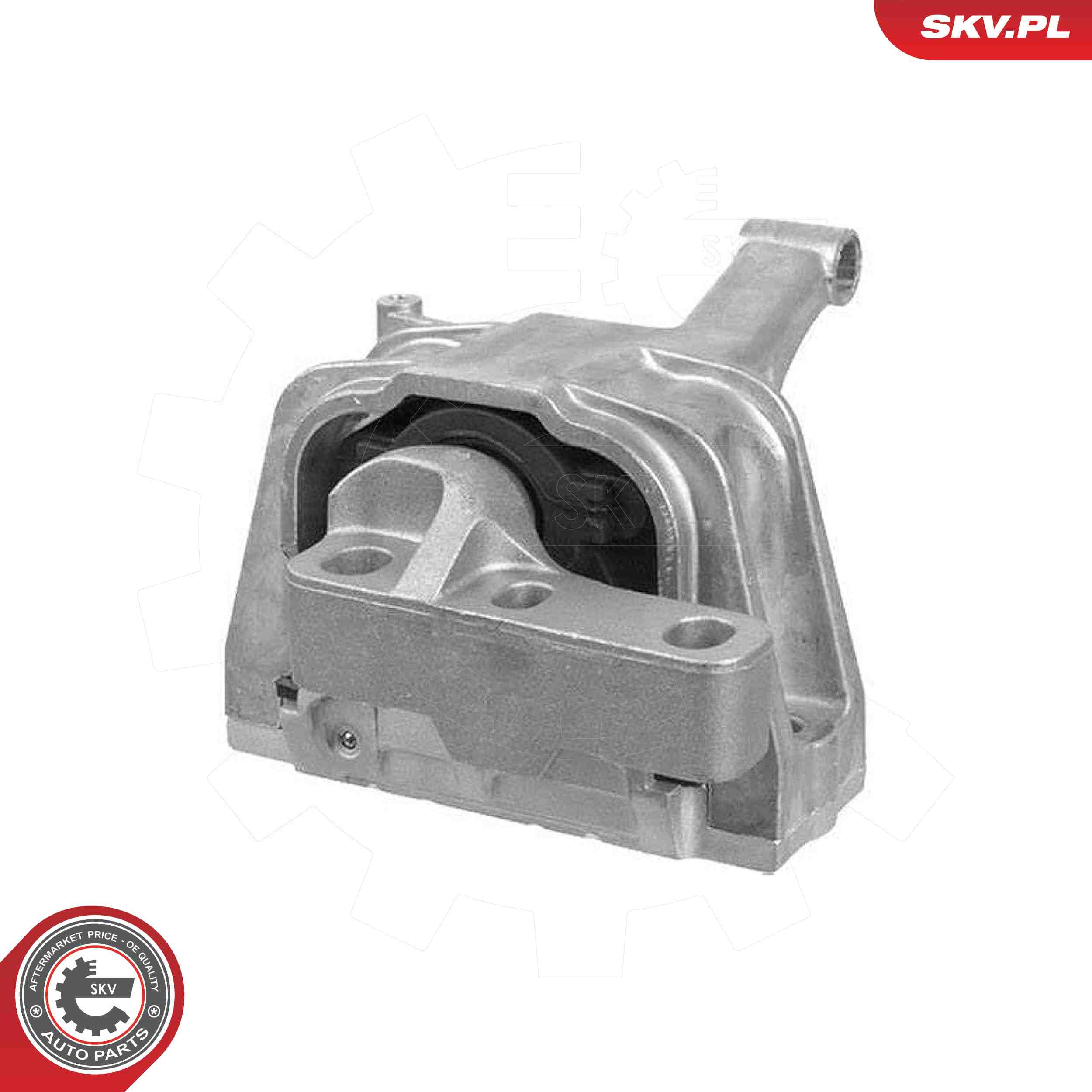 ESEN SKV 75SKV293 Mounting, engine