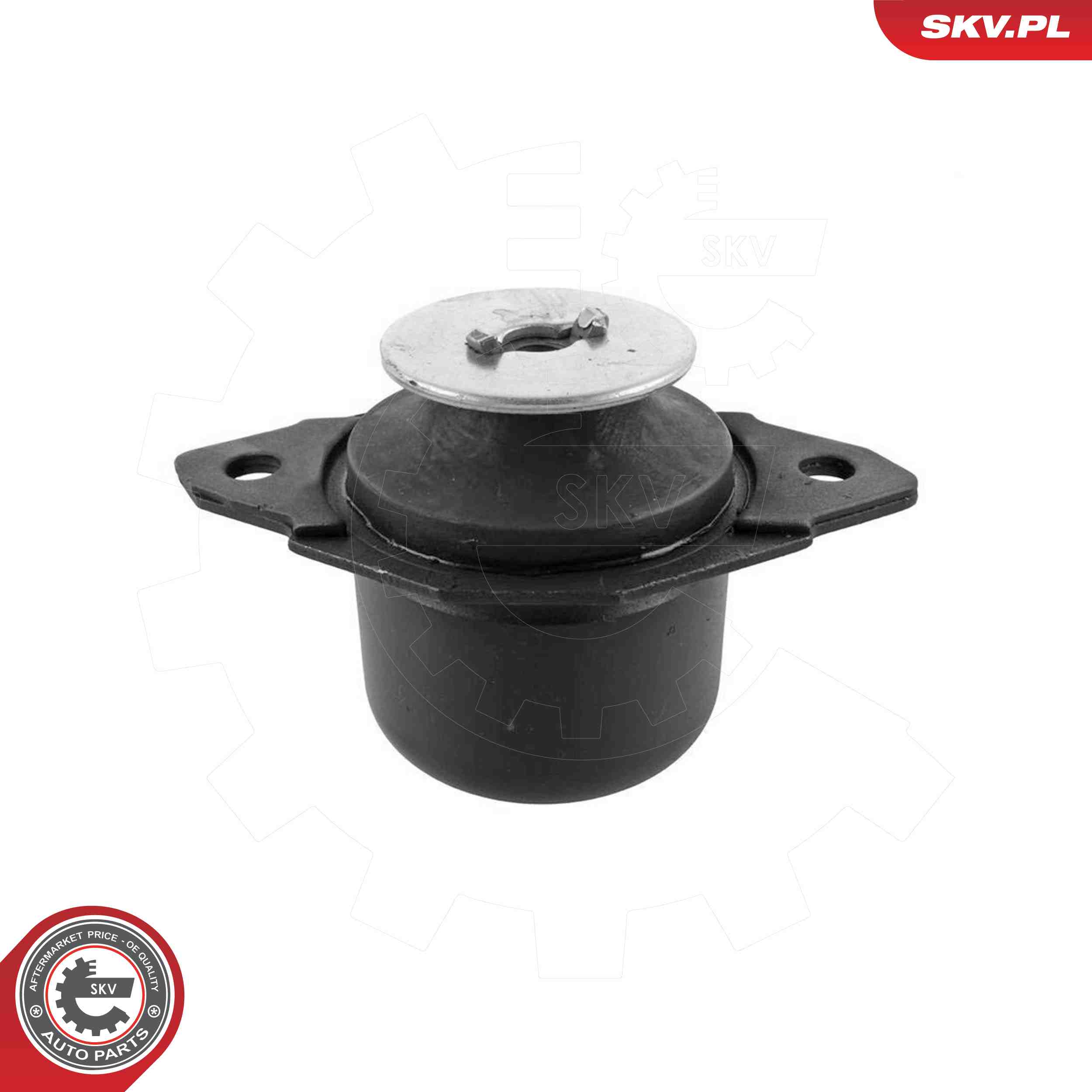 ESEN SKV 75SKV325 Mounting, engine