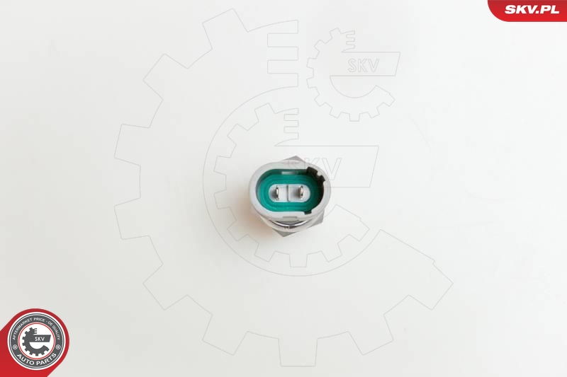 ESEN SKV 95SKV200 oljetrykkbryter, servostyring