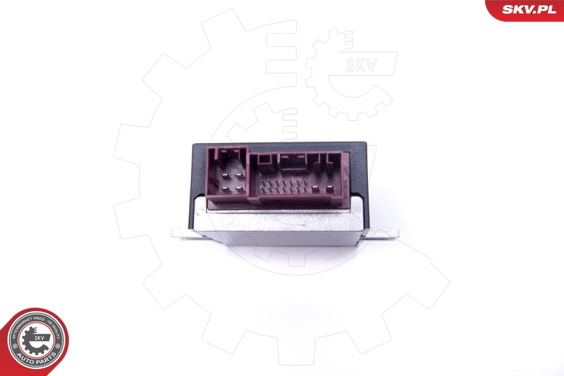 ESEN SKV 96SKV209 Styreenhet, drivstoffpumpe
