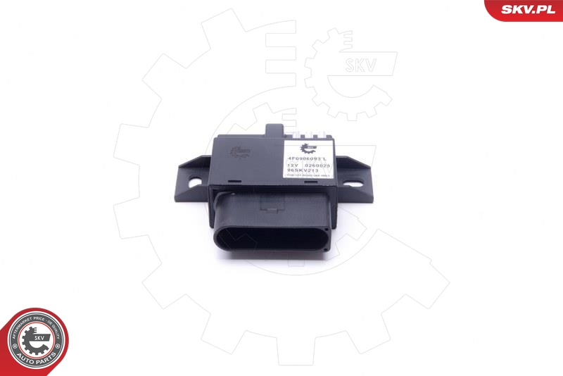 ESEN SKV 96SKV213 Styreenhet, drivstoffpumpe