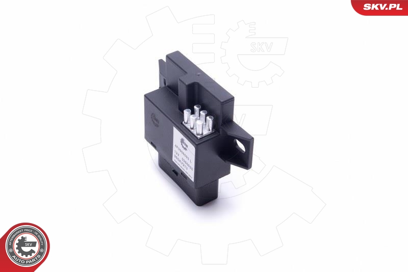 ESEN SKV 96SKV213 Styreenhet, drivstoffpumpe