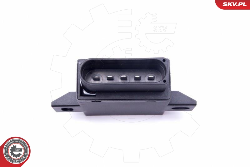 ESEN SKV 96SKV213 Styreenhet, drivstoffpumpe