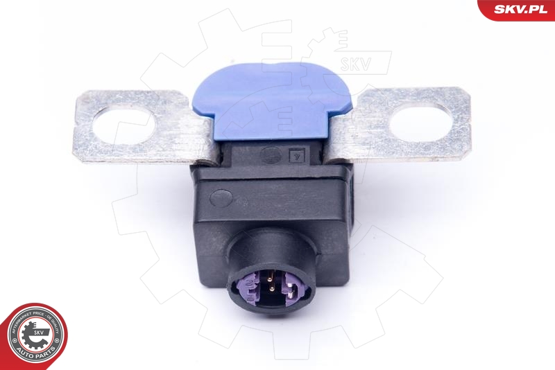 ESEN SKV 96SKV300 Overspenningsvern, dynamo