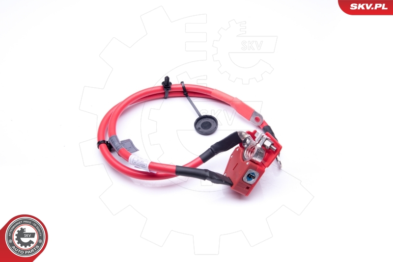 ESEN SKV 96SKV307 batteriadapter