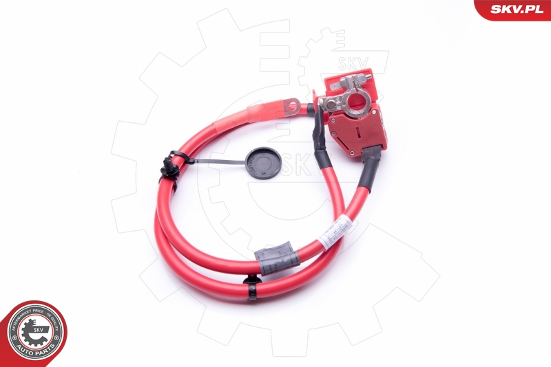 ESEN SKV 96SKV307 batteriadapter