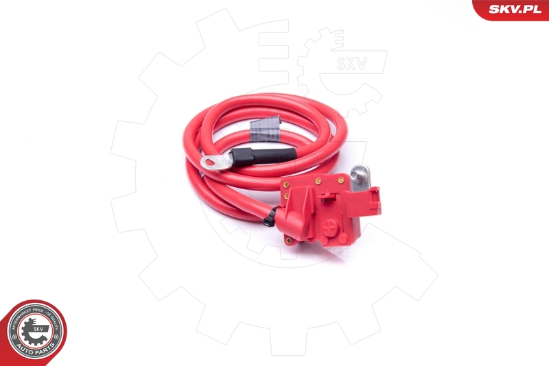 ESEN SKV 96SKV308 batteriadapter