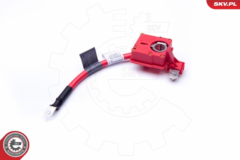 ESEN SKV 96SKV309 batteriadapter
