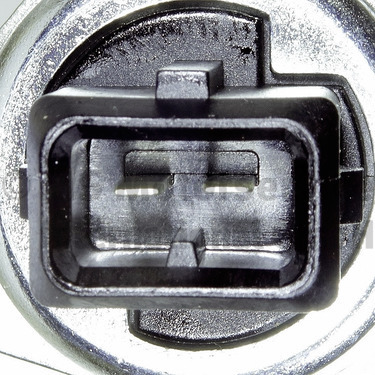 PIERBURG 7.09800.02.0 Stellelement, Exzenterwelle (variabler Ventilhub)