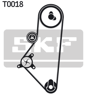 SKF VKMC 03201-2 Pompa acqua + Kit cinghie dentate-Pompa acqua + Kit cinghie dentate-Ricambi Euro