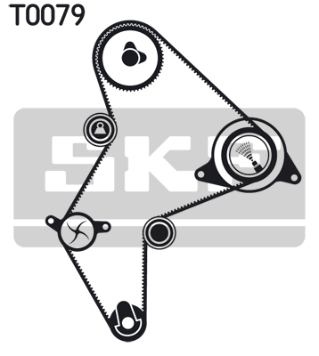 SKF VKMC 03251 Pompa acqua + Kit cinghie dentate