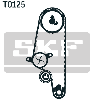 SKF VKMC 01110 Pompa acqua + Kit cinghie dentate