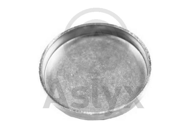 Aslyx AS-200829 Τάπες παγετού