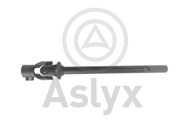 Aslyx AS-203363 Ratt