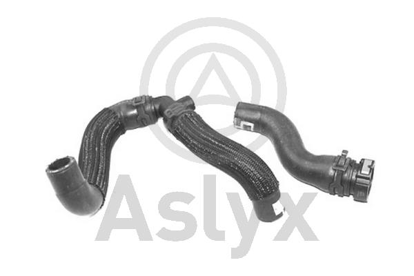 Aslyx AS-594286 Slang,...