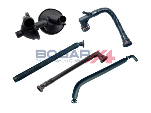 BOGAP B1217118 BOGAP...