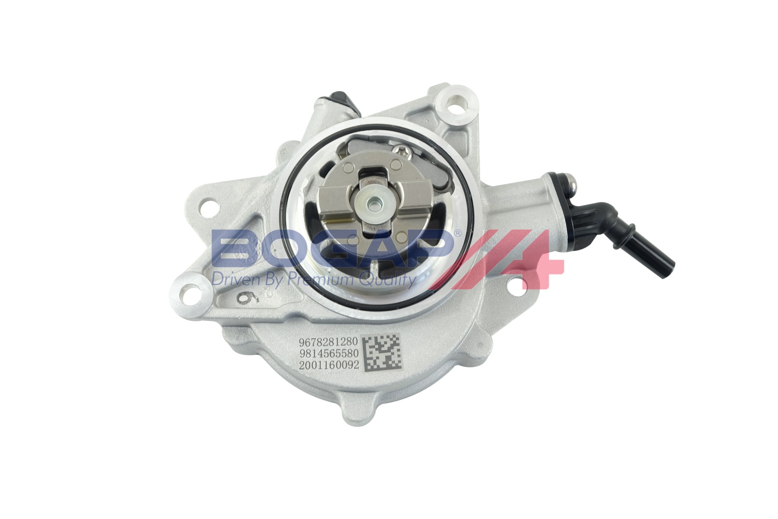 BOGAP B1916106 BOGAP A+...