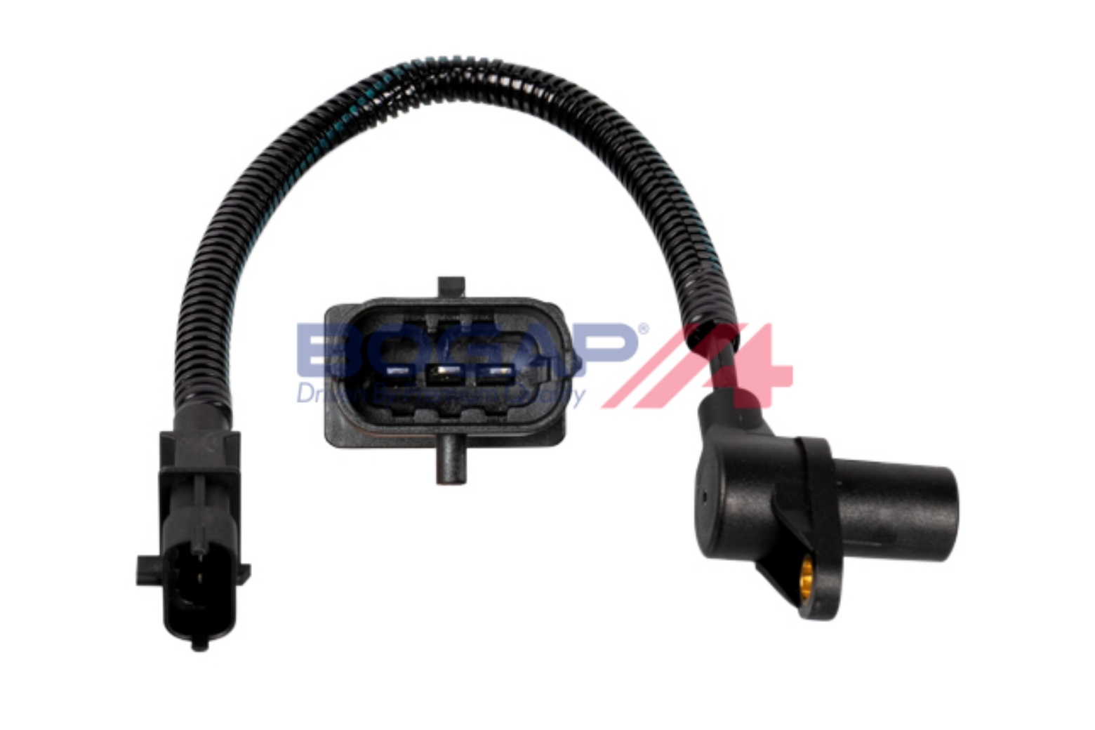 BOGAP Y6115100 BOGAP...