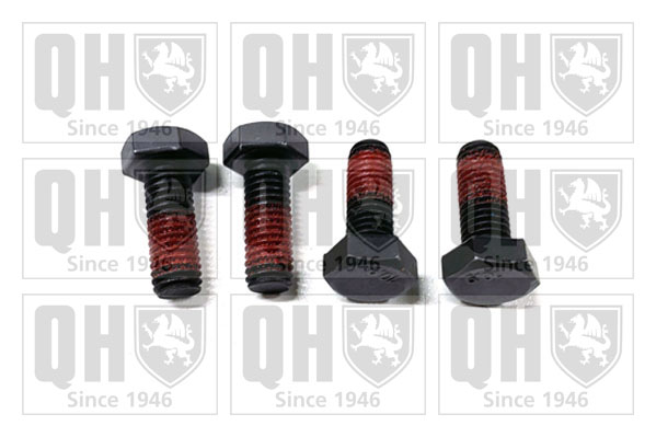 QUINTON HAZELL BFK606 Bolt, brake caliper for ABARTH ALFA ROMEO AUDI AUSTIN AUTOBIANCHI BMW CITROËN DACIA DAEWOO DAIMLER FIAT FO
