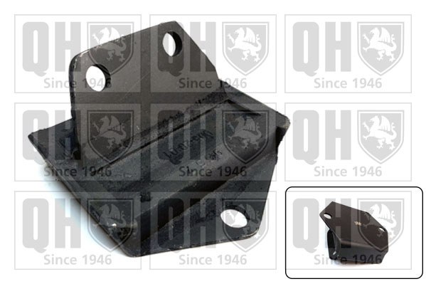 QUINTON HAZELL EM1507 Bushing, axle cross member for AUSTIN ROVER