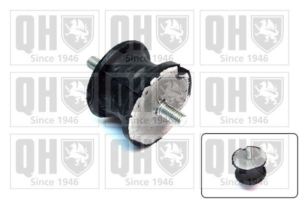 QUINTON HAZELL EM2574 Mounting, engine for BMW