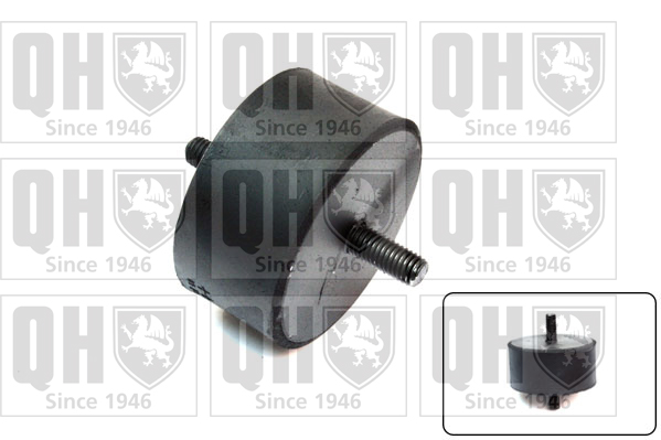 QUINTON HAZELL EM670 Έδραση, κινητήρας for FORD