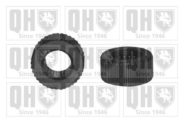 QUINTON HAZELL EMD1739 Steering Column Coupling for FIAT
