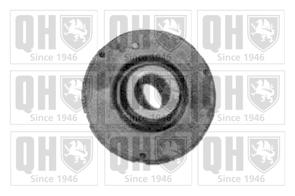 QUINTON HAZELL EMS2447 Έδραση, ψαλίδι for AUDI
