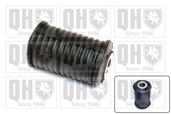QUINTON HAZELL EMS8494 Bushing, leaf spring for NISSAN RENAULT