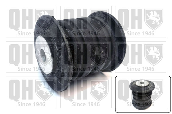 QUINTON HAZELL EMS8757 Bushing, leaf spring for MAN VW