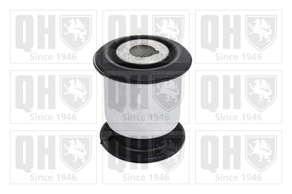QUINTON HAZELL EMS8804 Mounting, control/trailing arm for VW