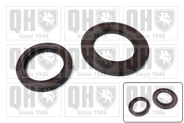 QUINTON HAZELL ENG41015 Gasket Kit, crankcase