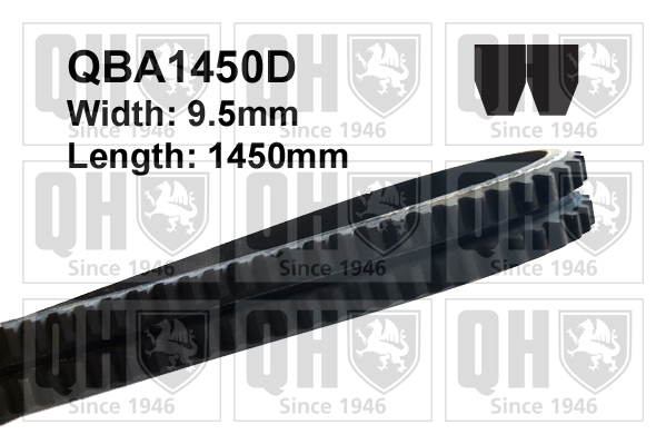 QUINTON HAZELL QBA1450D V-Belt