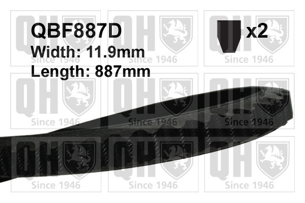 QUINTON HAZELL QBF887D V-Belt