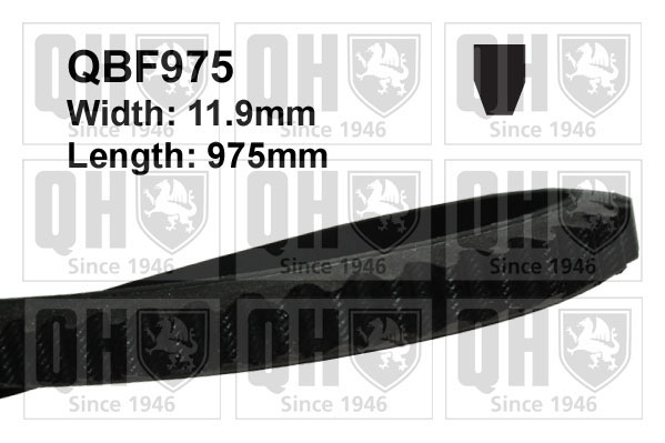 QUINTON HAZELL QBF975 V-Belt for AUDI BMW CITROËN DAIHATSU FIAT FORD HONDA MAZDA MERCEDES-BENZ MITSUBISHI NISSAN OPEL PORSCHE RE