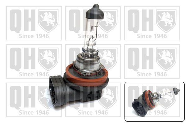QUINTON HAZELL QBL716 Λυχνία, προβολείς ομίχλης for DACIA FIAT ISUZU LADA LEXUS MITSUBISHI NISSAN OPEL PEUGEOT RENAULT SKODA SMA