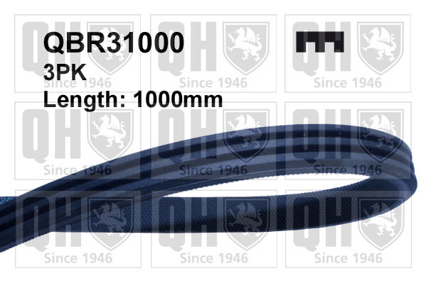 QUINTON HAZELL QBR31000 Ιμάντας poly-V for FIAT NISSAN