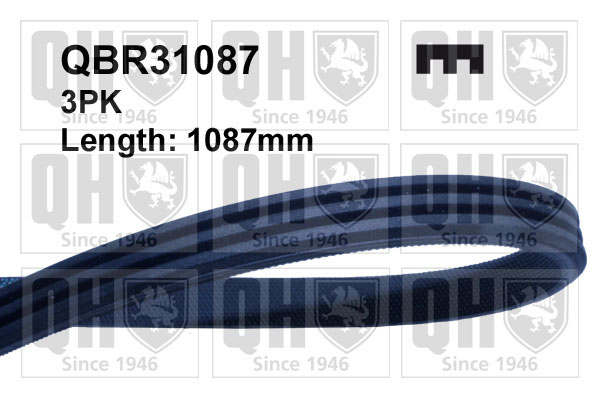 QUINTON HAZELL QBR31087 Ιμάντας poly-V for ACURA HONDA ROVER