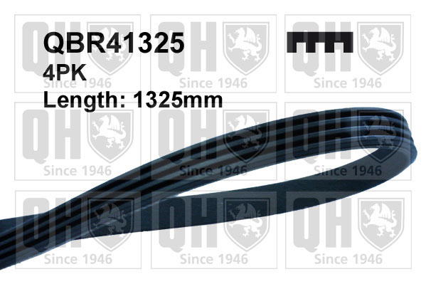 QUINTON HAZELL QBR41325 Ιμάντας poly-V for LAND ROVER