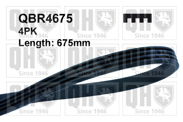 QUINTON HAZELL QBR4675 Ιμάντας poly-V for ALFA ROMEO FIAT HYUNDAI KIA LANCIA