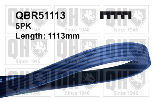QUINTON HAZELL QBR51113 Ιμάντας poly-V for AUDI DACIA HONDA HYUNDAI KIA LADA MITSUBISHI NISSAN PROTON RENAULT TOYOTA VW