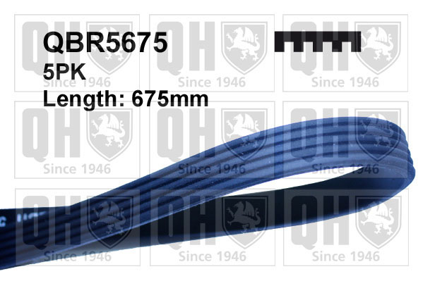 QUINTON HAZELL QBR5675 Ιμάντας poly-V for FORD MAZDA