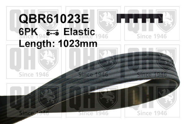 QUINTON HAZELL QBR61023E Ιμάντας poly-V for FORD