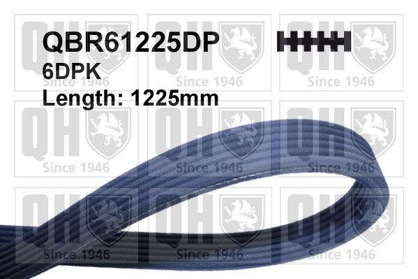 QUINTON HAZELL QBR61225DP Ιμάντας poly-V for FIAT FORD LANCIA SEAT