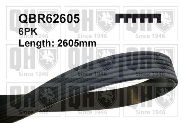 QUINTON HAZELL QBR62605 Ιμάντας poly-V for JEEP PONTIAC