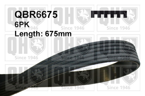 QUINTON HAZELL QBR6675 Ιμάντας poly-V for KIA NISSAN