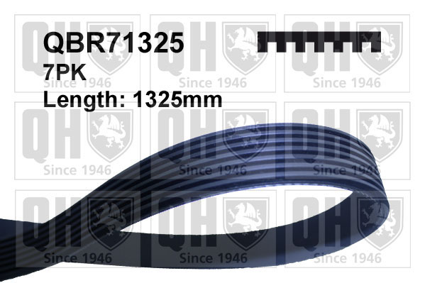 QUINTON HAZELL QBR71325 Ιμάντας poly-V for FIAT IVECO MERCEDES-BENZ NISSAN OPEL RENAULT VAUXHALL VW