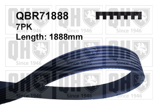 PIX 7PK1888-P ΙΜΑΝΤΑΣ  7PK...