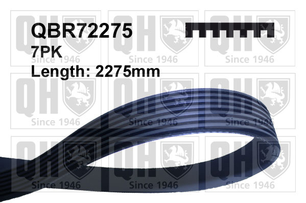 QUINTON HAZELL QBR72275 Ιμάντας poly-V for JEEP MERCEDES-BENZ